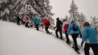  group excursion
